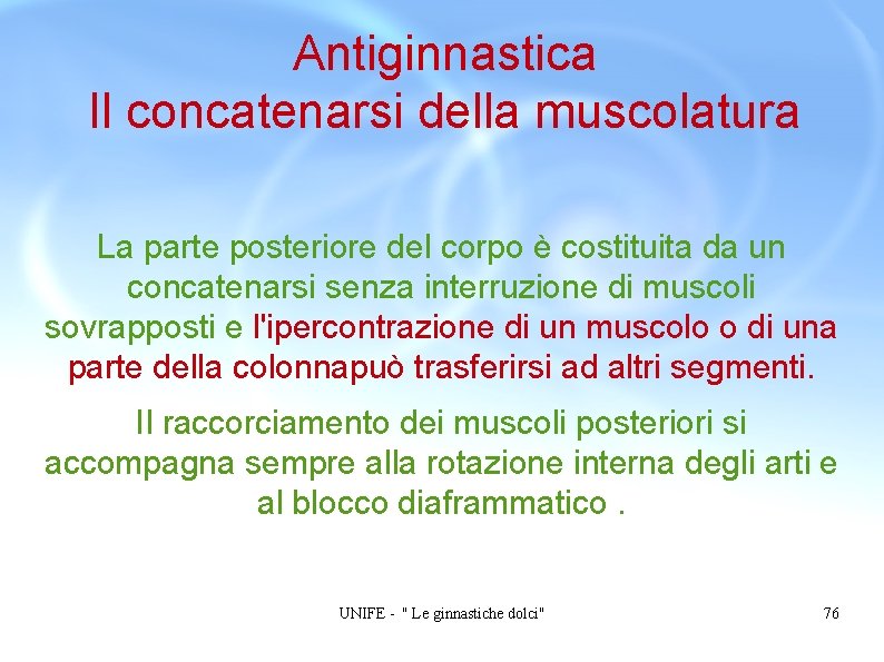 Antiginnastica Il concatenarsi della muscolatura La parte posteriore del corpo è costituita da un