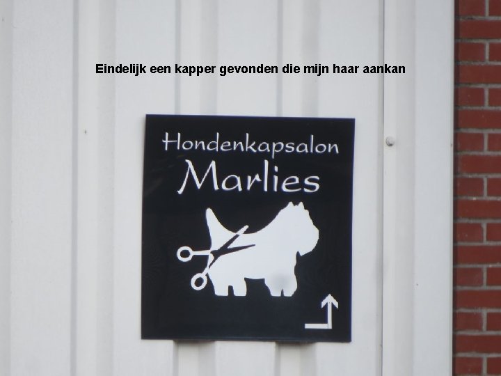 Eindelijk een kapper gevonden die mijn haar aankan 