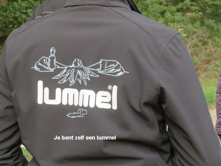 Je bent zelf een lummel 