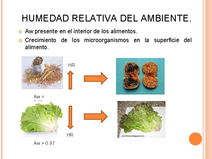 HUMEDAD RELATIVA DEL AMBIENTE. Aw presente en el interior de los alimentos. Crecimiento de