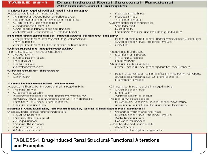 TABLE 55 -1. Drug-Induced Renal Structural-Functional Alterations and Examples 
