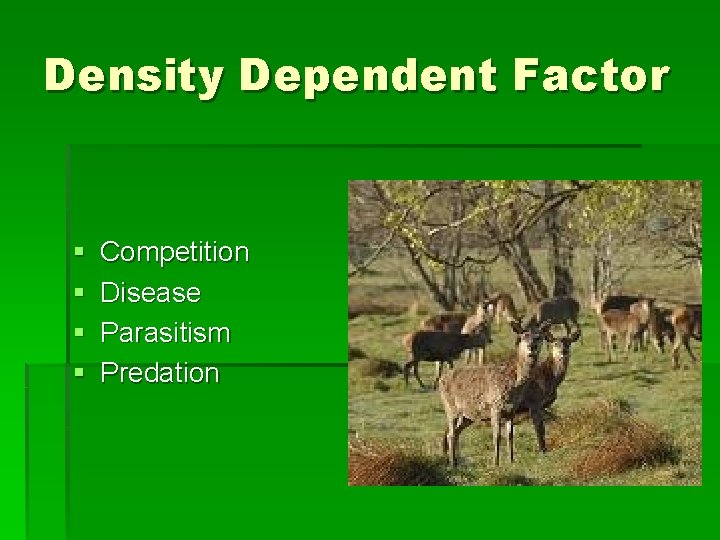Density Dependent Factor § § Competition Disease Parasitism Predation 