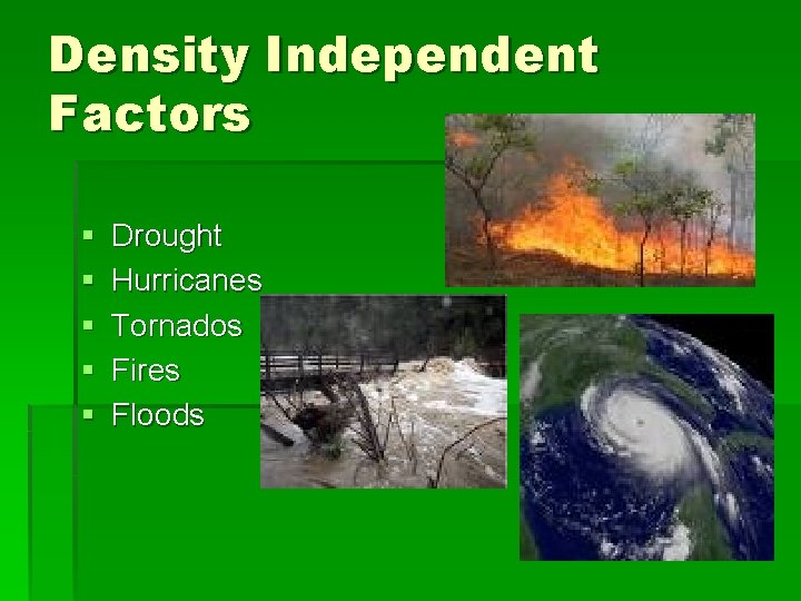 Density Independent Factors § § § Drought Hurricanes Tornados Fires Floods 