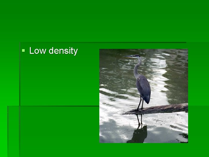 § Low density 