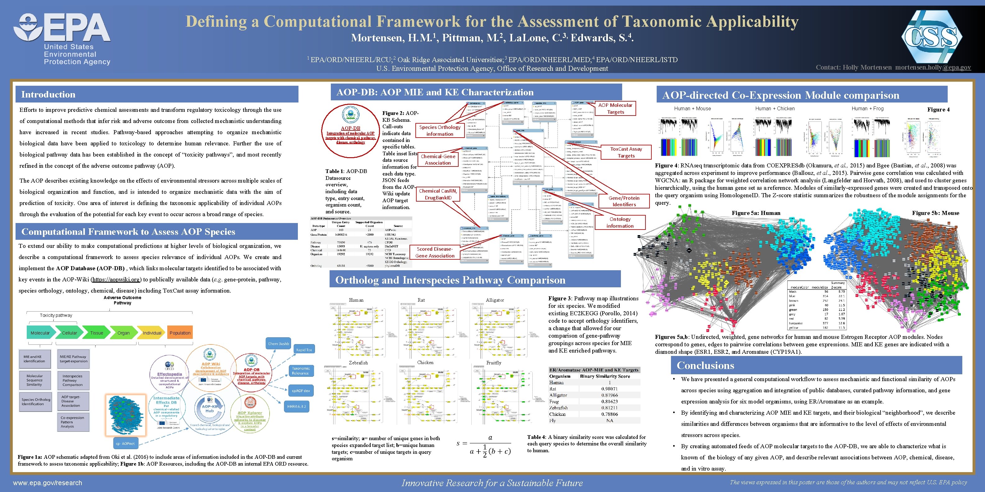 Defining a Computational Framework for the Assessment of