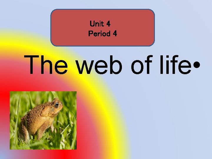 Unit 4 Period 4 The web of life • 