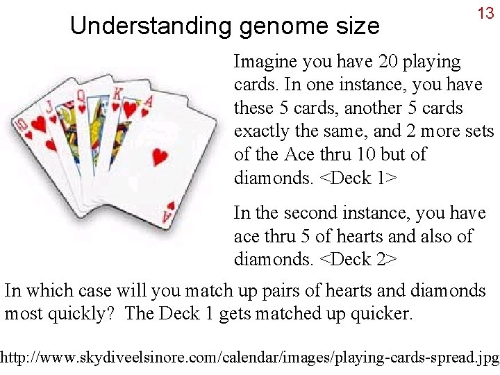 Understanding genome size 13 Imagine you have 20 playing cards. In one instance, you