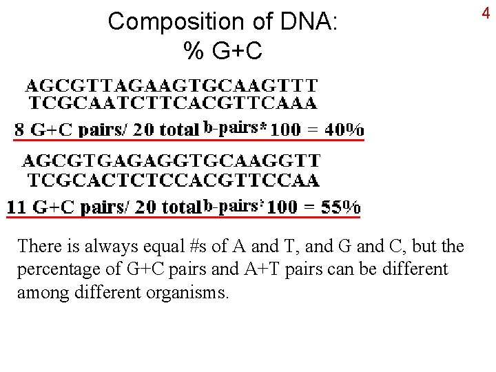 Composition of DNA: % G+C There is always equal #s of A and T,