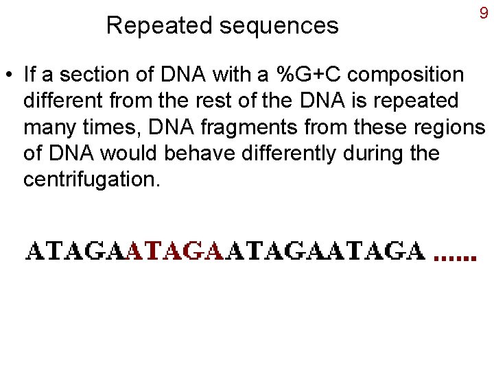 Repeated sequences 9 • If a section of DNA with a %G+C composition different