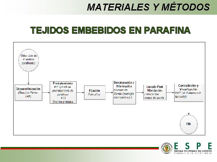 MATERIALES Y MÉTODOS TEJIDOS EMBEBIDOS EN PARAFINA 