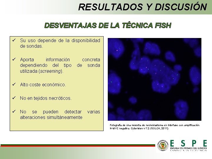 RESULTADOS Y DISCUSIÓN DESVENTAJAS DE LA TÉCNICA FISH ü Su uso depende de la