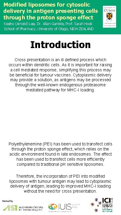 Modified liposomes for cytosolic Company delivery in antigen presenting cells logo through the proton