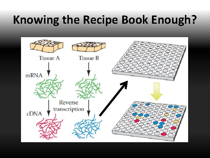 Knowing the Recipe Book Enough? 