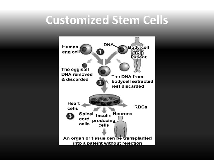 Customized Stem Cells 