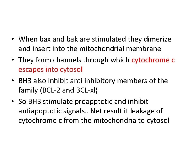  • When bax and bak are stimulated they dimerize and insert into the