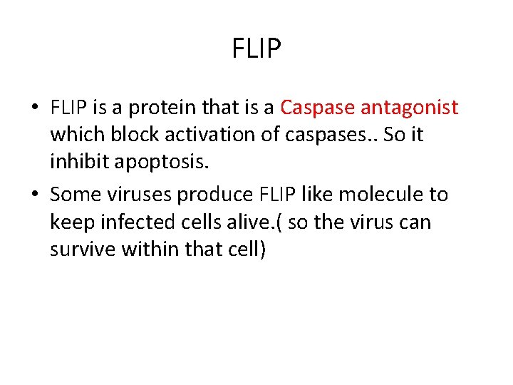 FLIP • FLIP is a protein that is a Caspase antagonist which block activation