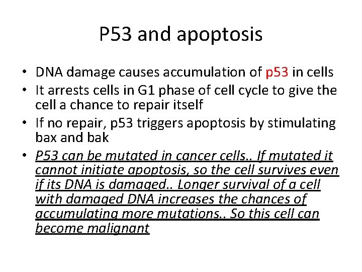 P 53 and apoptosis • DNA damage causes accumulation of p 53 in cells