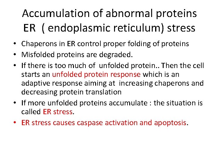 Accumulation of abnormal proteins ER ( endoplasmic reticulum) stress • Chaperons in ER control