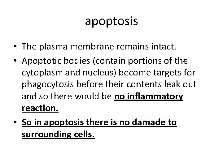 apoptosis • The plasma membrane remains intact. • Apoptotic bodies (contain portions of the