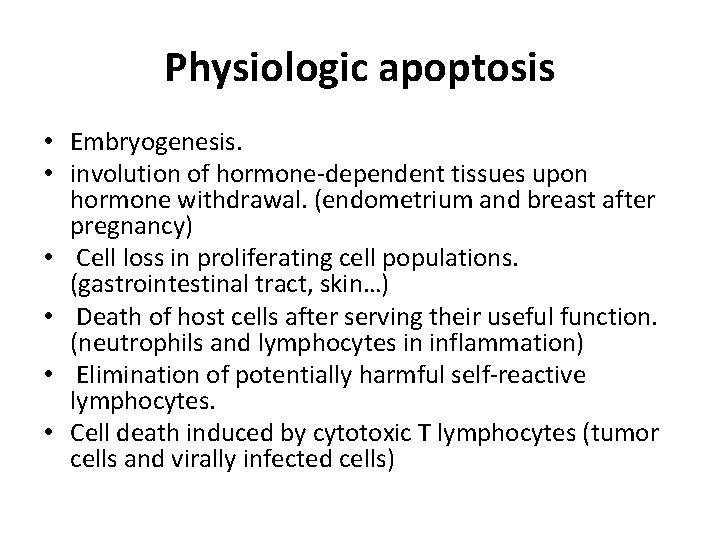 Physiologic apoptosis • Embryogenesis. • involution of hormone-dependent tissues upon hormone withdrawal. (endometrium and