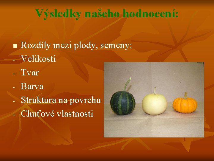 Výsledky našeho hodnocení: n - Rozdíly mezi plody, semeny: Velikosti Tvar Barva Struktura na