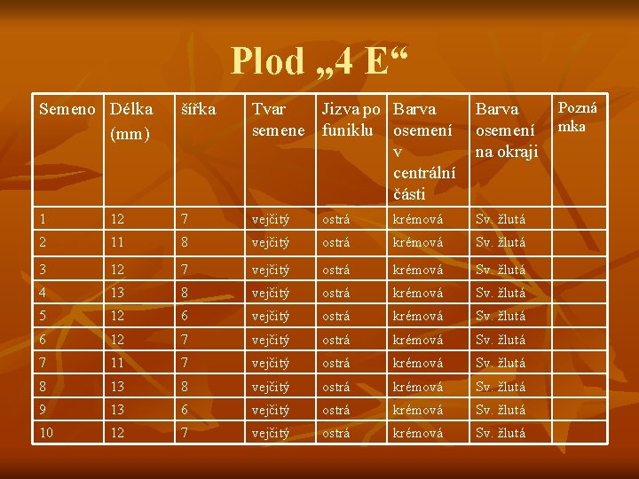 Plod „ 4 E“ Semeno Délka (mm) šířka Tvar Jizva po Barva semene funiklu