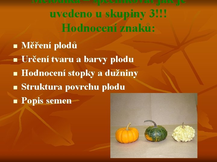 Metodika – specifikovat jak je uvedeno u skupiny 3!!! Hodnocení znaků: n n n