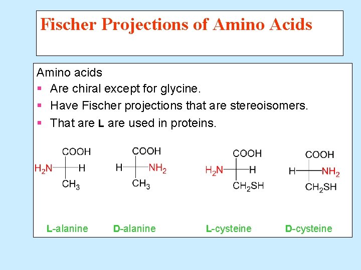 Fischer Projections of Amino Acids Amino acids § Are chiral except for glycine. §