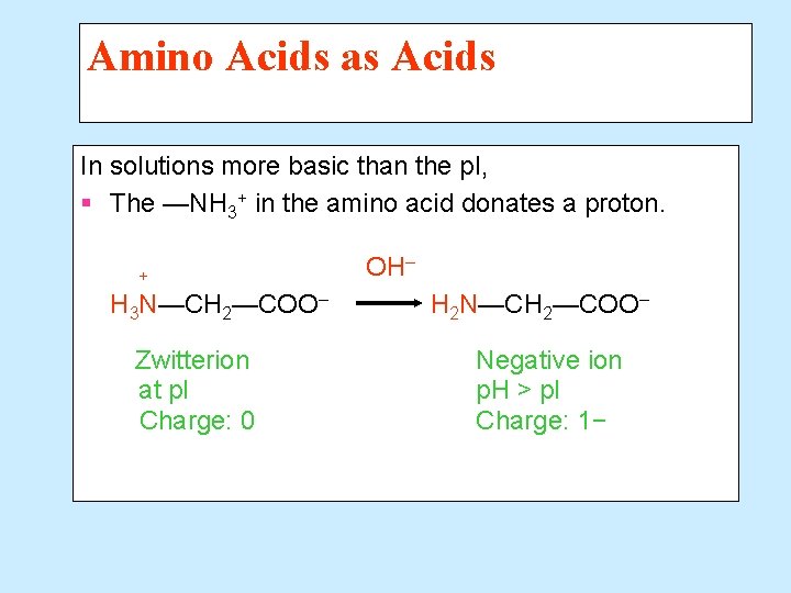 Amino Acids as Acids In solutions more basic than the p. I, § The