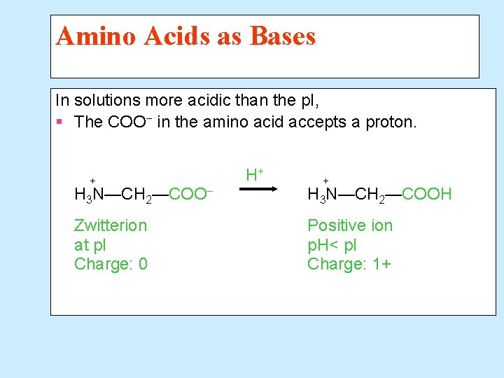 Amino Acids as Bases In solutions more acidic than the p. I, § The