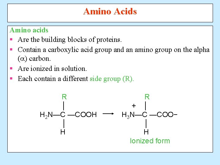 Amino Acids Amino acids § Are the building blocks of proteins. § Contain a