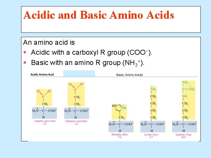 Acidic and Basic Amino Acids An amino acid is § Acidic with a carboxyl