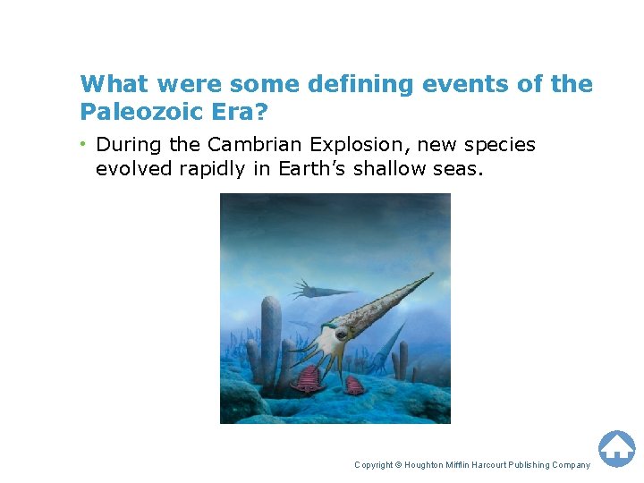 What were some defining events of the Paleozoic Era? • During the Cambrian Explosion,