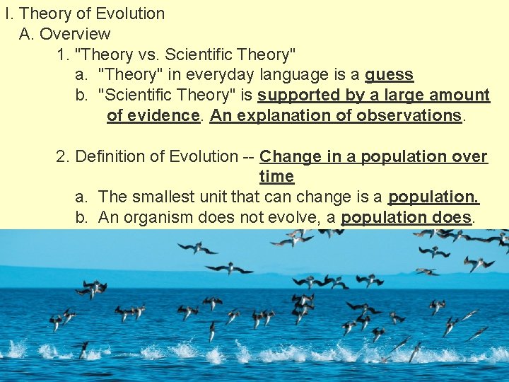 I. Theory of Evolution A. Overview 1. "Theory vs. Scientific Theory" a. "Theory" in