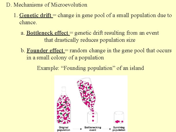 D. Mechanisms of Microevolution 1. Genetic drift = change in gene pool of a