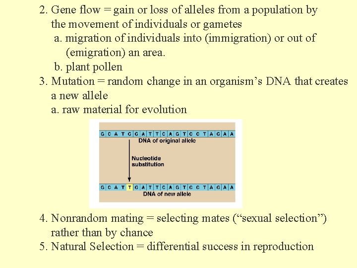 2. Gene flow = gain or loss of alleles from a population by the