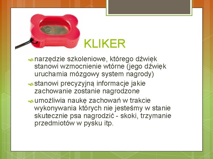 KLIKER narzędzie szkoleniowe, którego dźwięk stanowi wzmocnienie wtórne (jego dźwięk uruchamia mózgowy system nagrody)