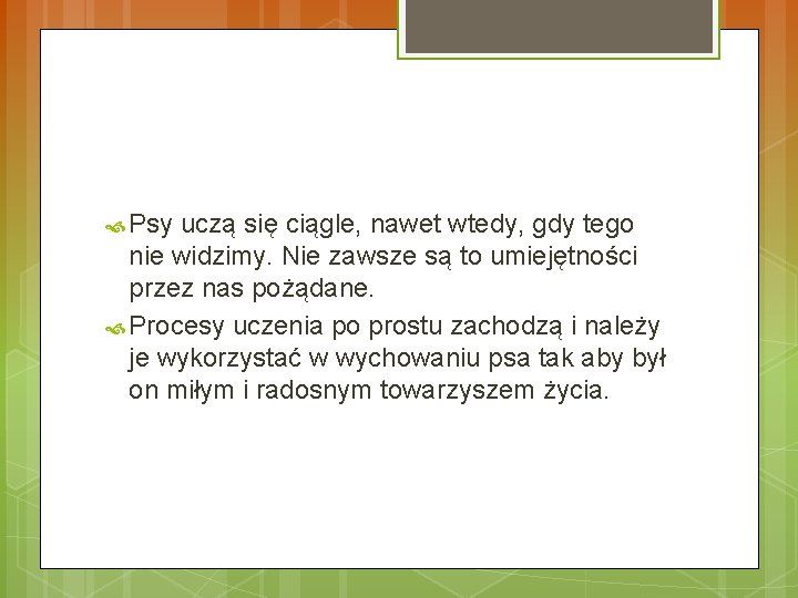  Psy uczą się ciągle, nawet wtedy, gdy tego nie widzimy. Nie zawsze są