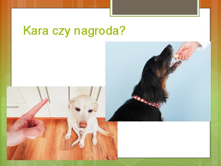 Kara czy nagroda? 