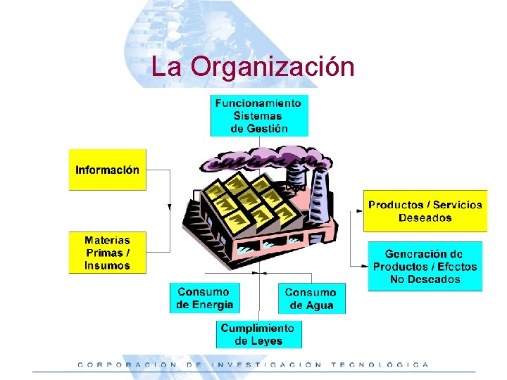 La Organización 