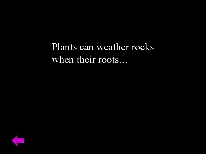 Plants can weather rocks when their roots… 