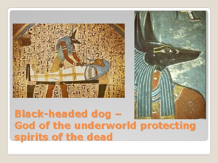 Black-headed dog – God of the underworld protecting spirits of the dead 