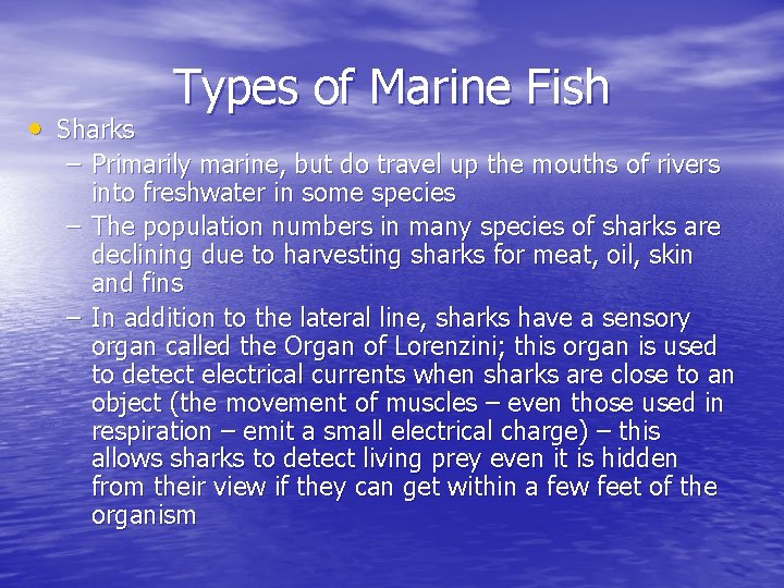  • Sharks Types of Marine Fish – Primarily marine, but do travel up