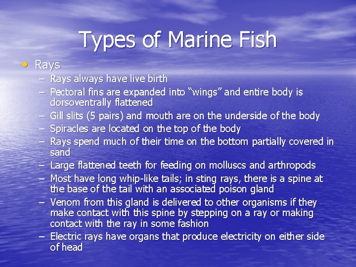 Types of Marine Fish • Rays – Rays always have live birth – Pectoral