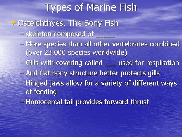 Types of Marine Fish • Osteichthyes, The Bony Fish – skeleton composed of _____