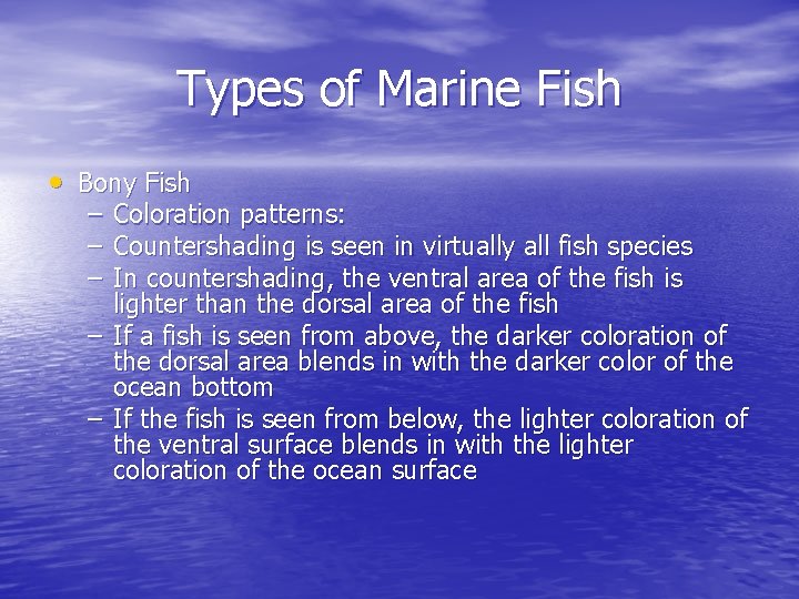 Types of Marine Fish • Bony Fish – – – Coloration patterns: Countershading is