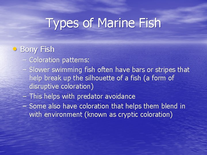 Types of Marine Fish • Bony Fish – Coloration patterns: – Slower swimming fish