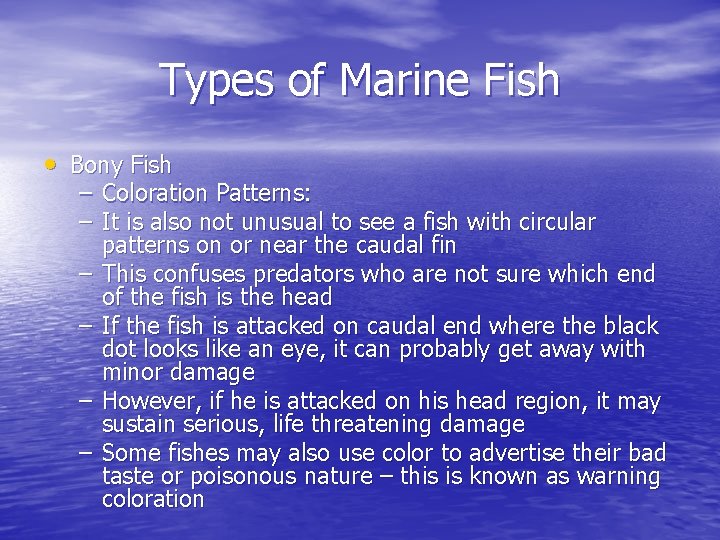 Types of Marine Fish • Bony Fish – Coloration Patterns: – It is also