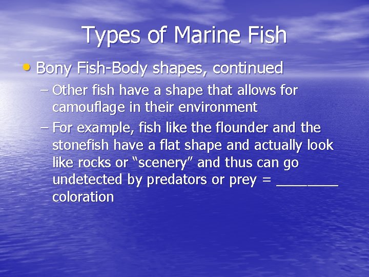 Types of Marine Fish • Bony Fish-Body shapes, continued – Other fish have a