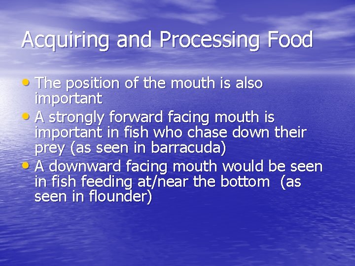 Acquiring and Processing Food • The position of the mouth is also important •